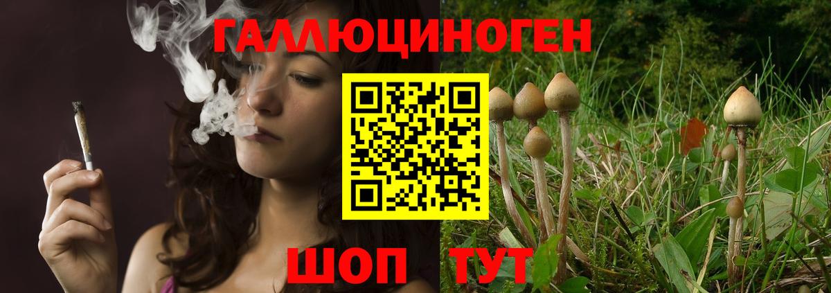 Псилоцибиновые грибы прущие грибы Кузнецк